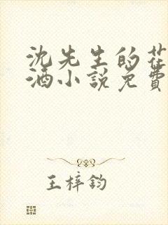 《沈先生的花式调酒小说免费阅读》小说封面