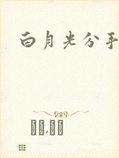 白月光分手日常