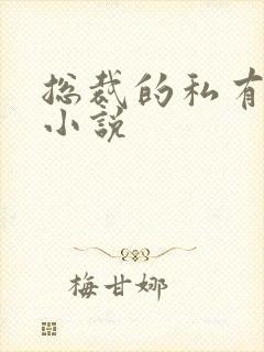 总裁的私有宝贝小说