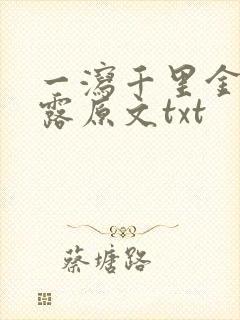 一泻千里金银花露原文txt