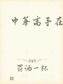 中华高手在异世