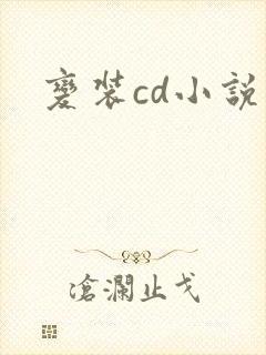 变装cd小说