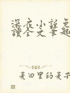 深夜小说免费阅读全文笔趣阁