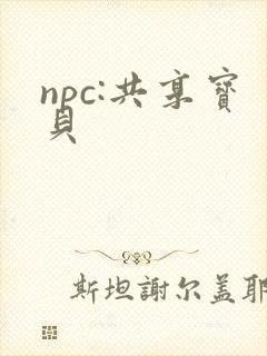 npc:共享宝贝