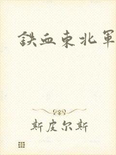 铁血东北军