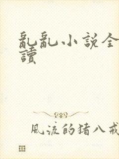 乱乱小说全文阅读