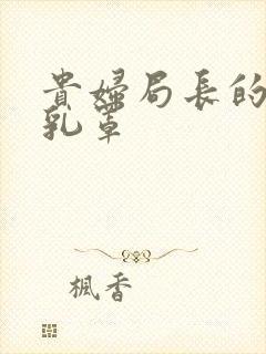 贵妇局长的蕾丝乳罩