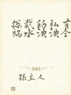 总裁的私有宝贝祸水泱泱全文阅读