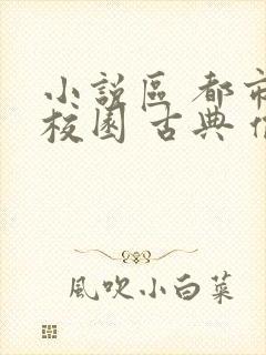 小说区 都市 校园 古典 偷拍