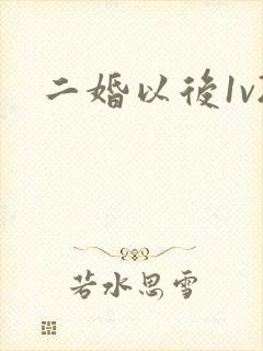 二婚以后1v2封面