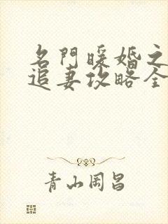 名门暖婚之权爷追妻攻略全文免费阅读封面