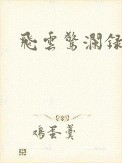 飞云惊澜录