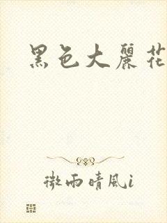 黑色大丽花图片