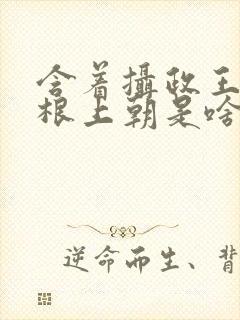 含着摄政王的紫根上朝是啥小说