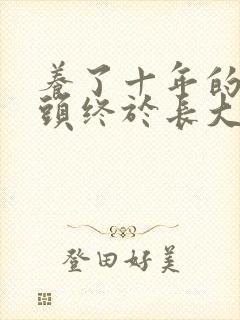 养了十年的小丫头终于长大了