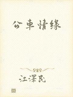 公车情缘