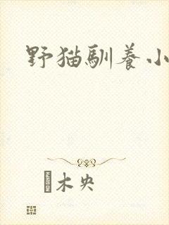 野猫驯养小说