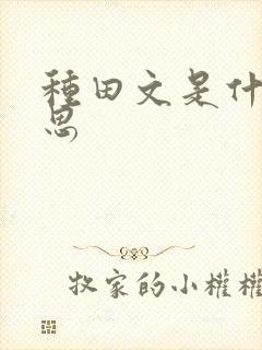 种田文是什么意思