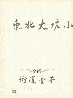 东北大坑小说