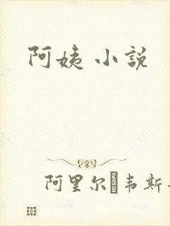 阿姨 小说