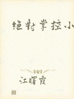 绝对掌控小说