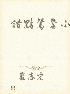 错点鸳鸯小说