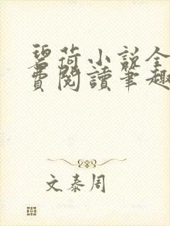 碧荷小说全文免费阅读笔趣阁