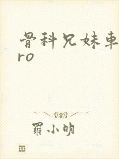 骨科兄妹车多pro