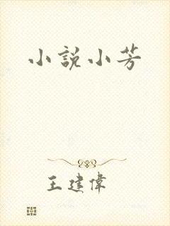 小说小芳