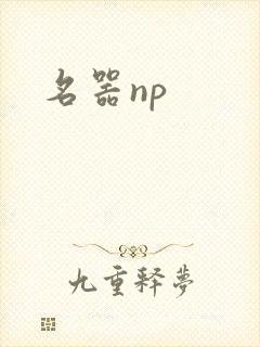 名器np