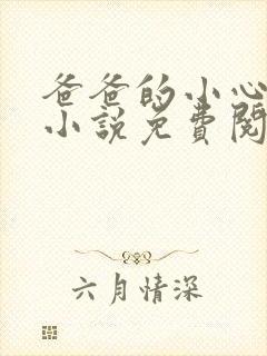 爸爸的小心肝儿小说免费阅读