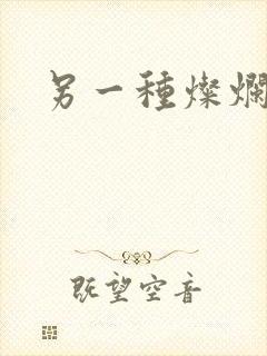 另一种灿烂生活