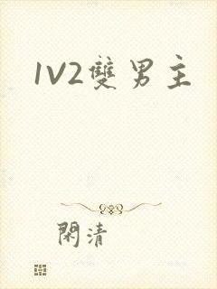 1V2双男主