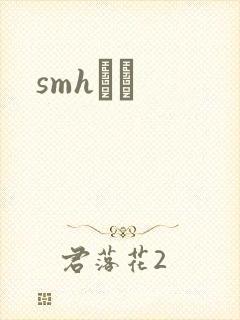 smhС˵