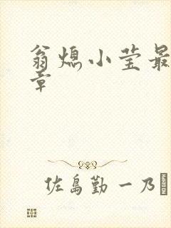 翁熄小莹最新节章