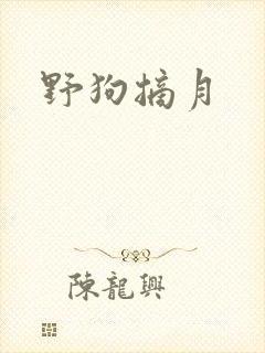 野狗摘月