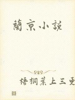 兰京小说