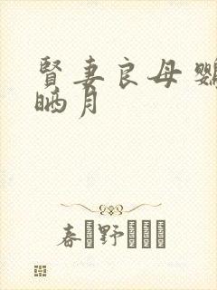 贤妻良母 鹦鹉晒月