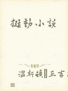 挺动小说