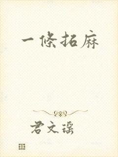 一条拓麻封面