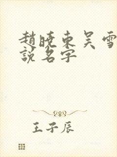赵晓东吴雪晴小说名字