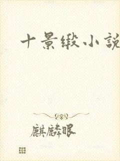 十景缎小说