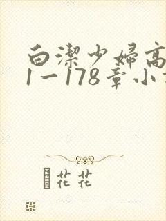 白洁少妇高义第1一178章小说