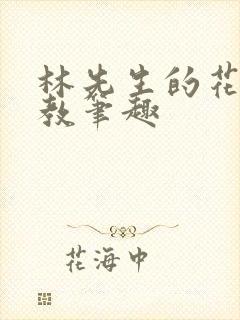 林先生的花式管教笔趣