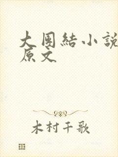 大团结小说阅读原文