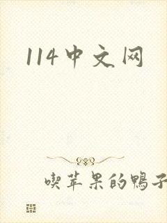 114中文网