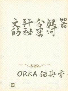 文轩分腿器河马的秘密河