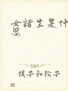 女诸生是什么意思