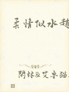 柔情似水赵雅儿