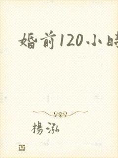 婚前120小时封面